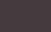 Commander Vite PANNEAU COMPACT EXTERIOR M1 GRIS ANTHRACITE 0077 PELLICULE 8x4100x1854 FUNDERMAX