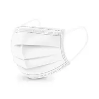 BOITE DE 50 MASQUES USAGE UNIQUE BESOIN INTERNE DELAISY Expédié Aujourd&rsquo;hui