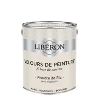 Achat Immédiat Peinture Velours poudre de riz 2.50LS V33