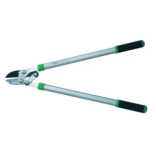 Commander Vite Coupe-branche 13 54 A FREUND VICTORIA