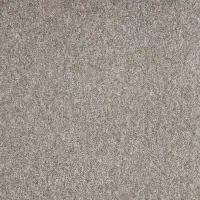 Affaire À Saisir Dalle moquette SEASON WINTER 50 x 50 cm cm 100% POLYAMIDE Brun 0720