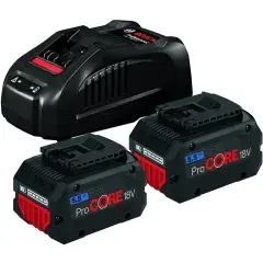 Pack de 2 batteries 18 V Procore 5,5 Ah + chargeur rapide BOSCH 1600A0214C Top Vente