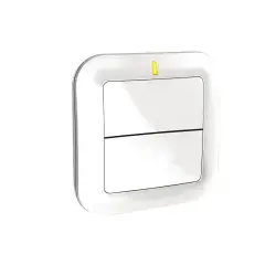 Usine Directe Commande radio murale TYXIA 2310 pour éclairages ou automatismes DELTA DORE 6351380