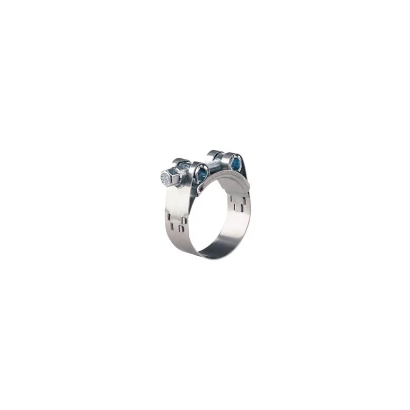 Bon Plan Collier de Serrage à Tourillon Plein Acier ZN – Largeur 30MM – Ø 291 > 304 MM