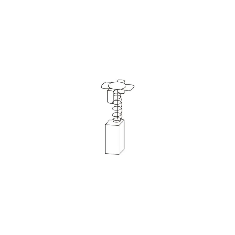 Quantité Limitée Jeu de 2 charbons Hitachi - avec rupteur Code 1796 - 6,5 x 9 x 17 mm