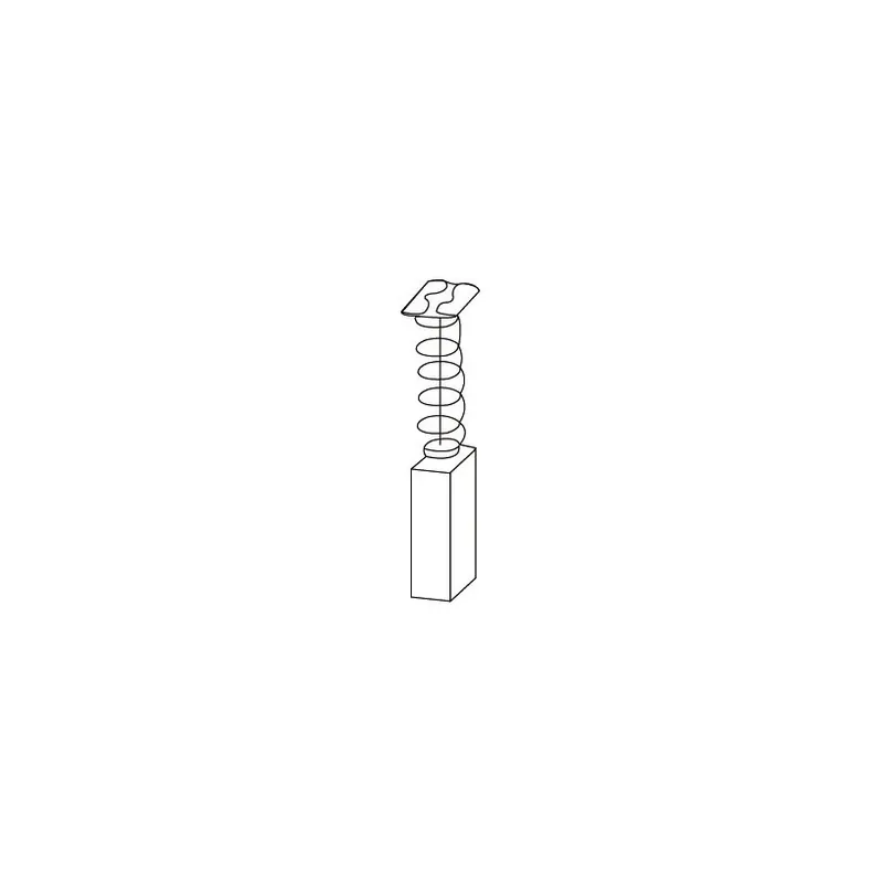 Jeu de 2 charbons Hitachi - avec rupteur Code 1798 - 6,5 x 7,5 x 12 mm Must-Have