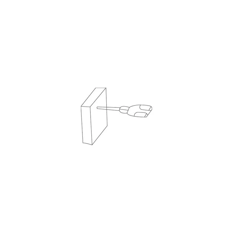 Super Prix Jeu de 2 charbons Bosch - sans rupteur Code 0199-08 - 5 x 8 x 18 mm