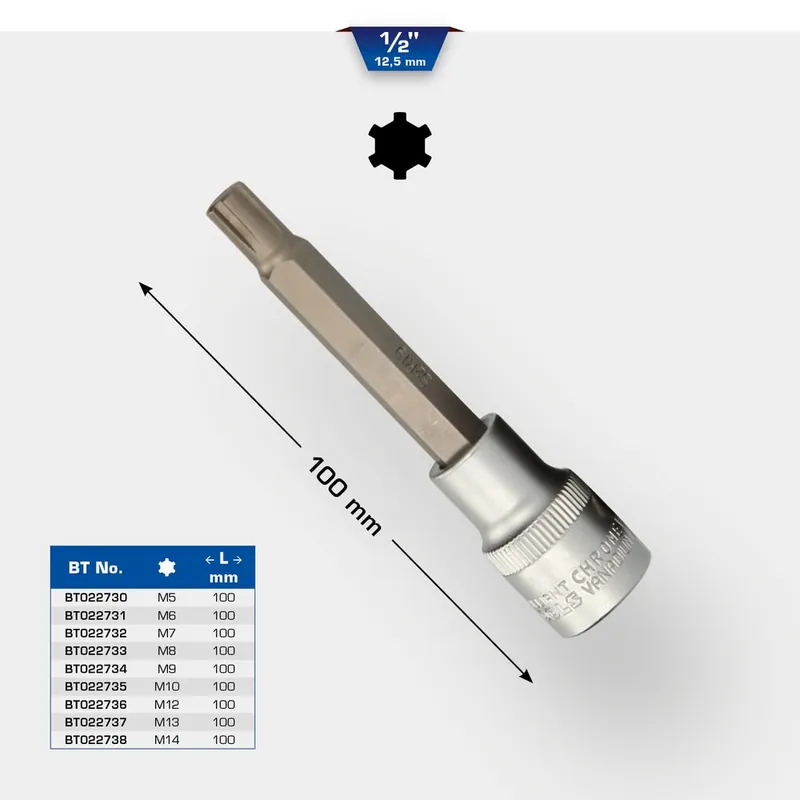 Jusqu&rsquo;à Épuisement Des Stocks Douilles tournevis 1/2‘‘ RIBE, L.100 mm
