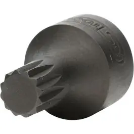 Jusqu&rsquo;à Épuisement Des Stocks Douille tournevis 1/4‘‘ XZN, M7, extra-courte
