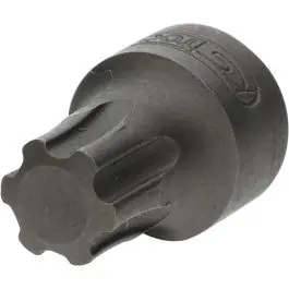 Nouveauté Douille tournevis 1/4‘‘ TORXPlus, IP50, extra-courte